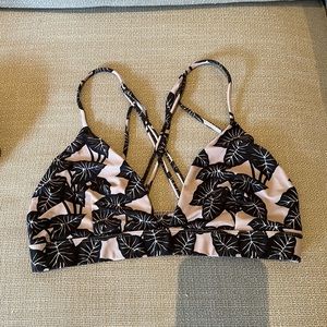 Large black elephant acacia top